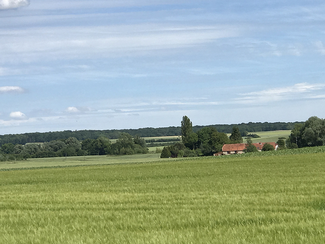 D809 (just off D6) as it curves east-southeast toward Cierges - the 168th Infantry would have been near landscape like this as they pushed north across the Ourcq